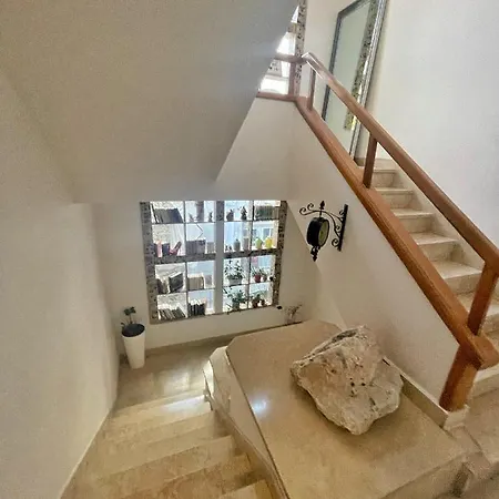 ホステル Pipistrelo *