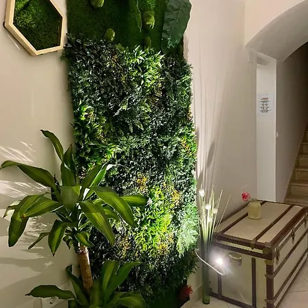 Vandrarhem Pipistrelo