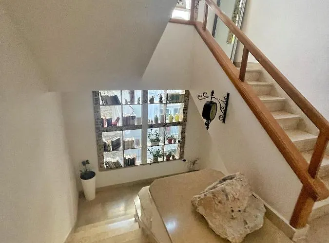 호스텔 Pipistrelo *