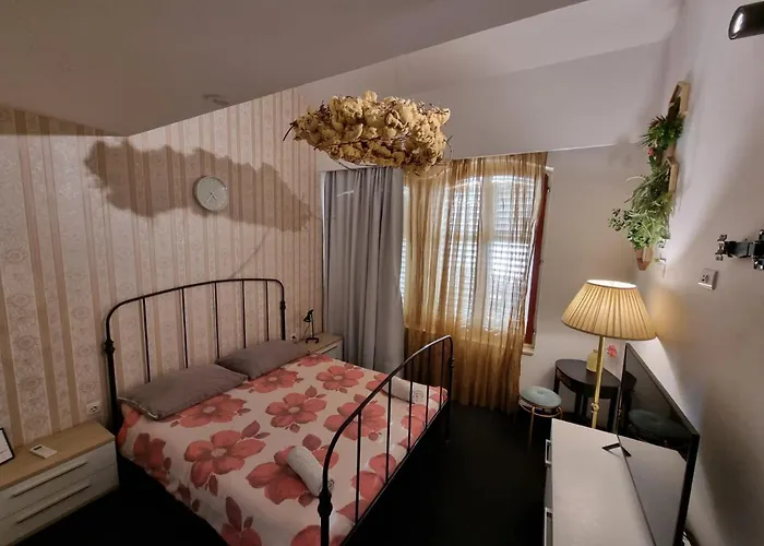 호스텔 Pipistrelo