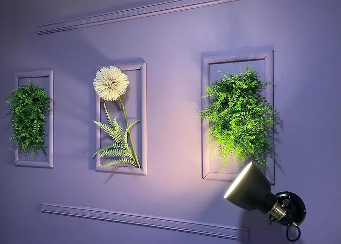 Pipistrelo 호스텔 *