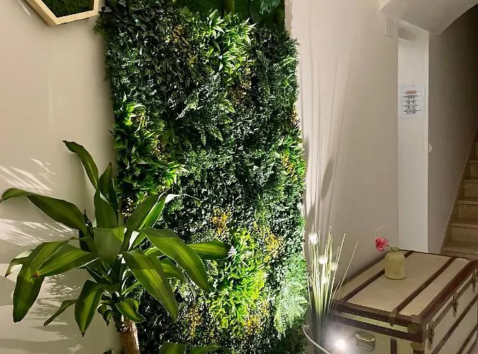 호스텔 Pipistrelo