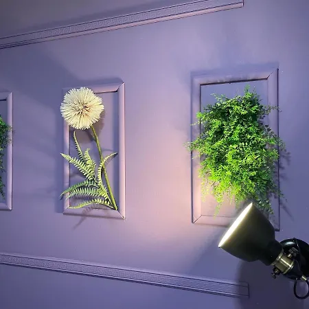 Pipistrelo Ostello *