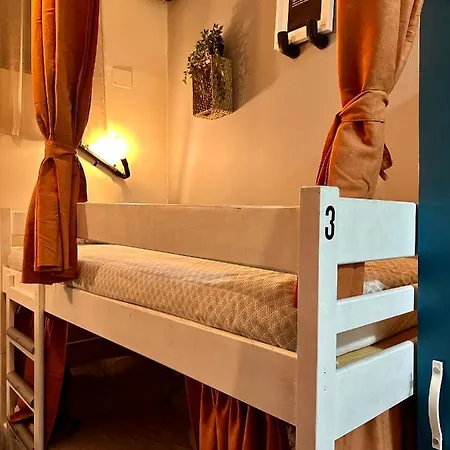 Pipistrelo Auberge de jeunesse