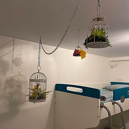 Pipistrelo Hostel *